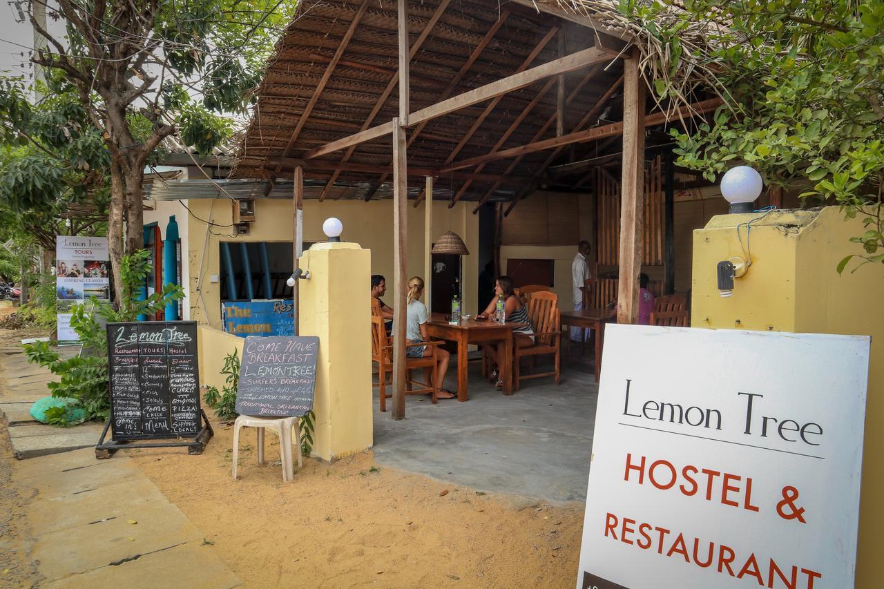 Lemon Tree Hostel Arugam Bay Exterior photo