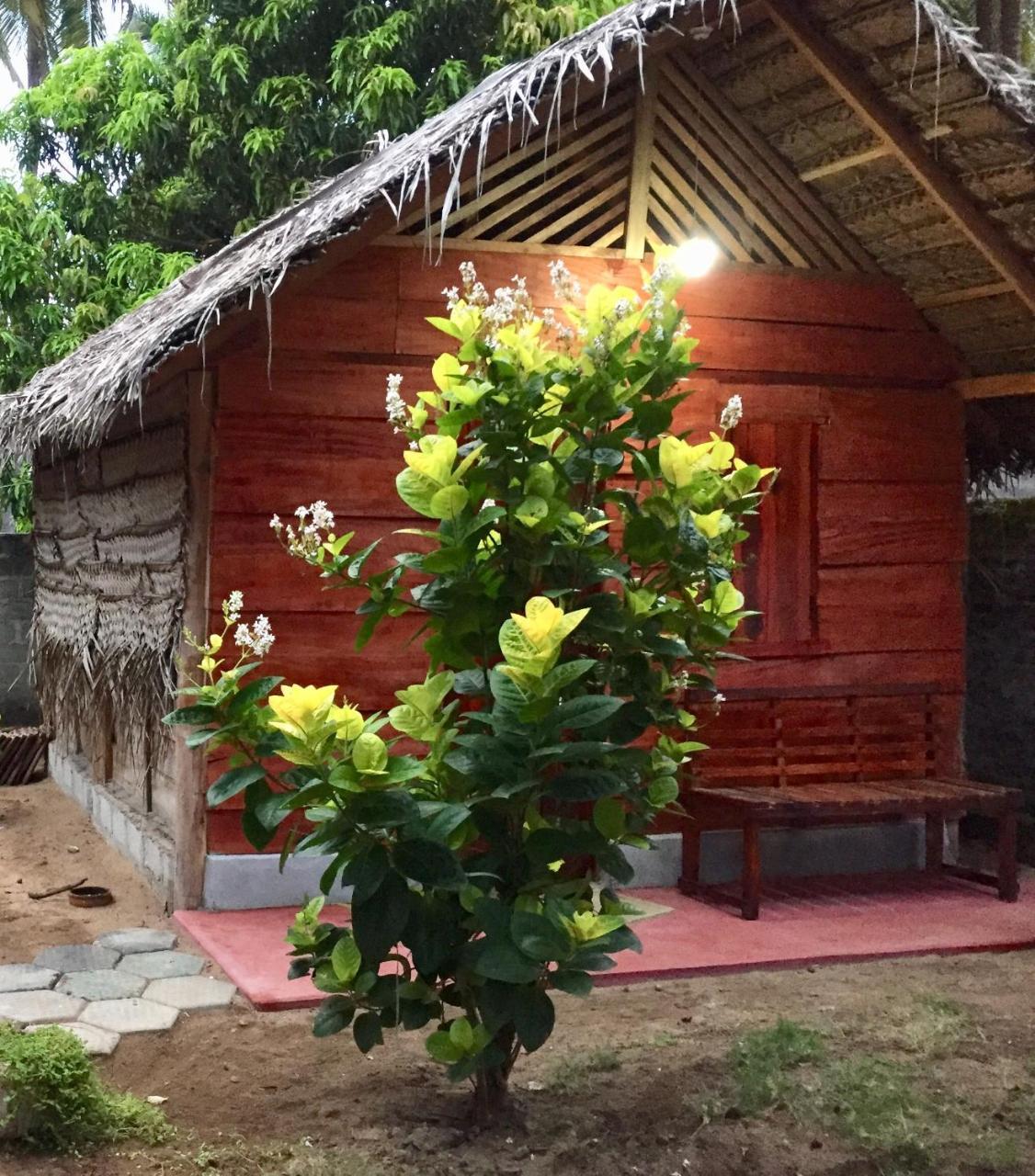 Lemon Tree Hostel Arugam Bay Exterior photo