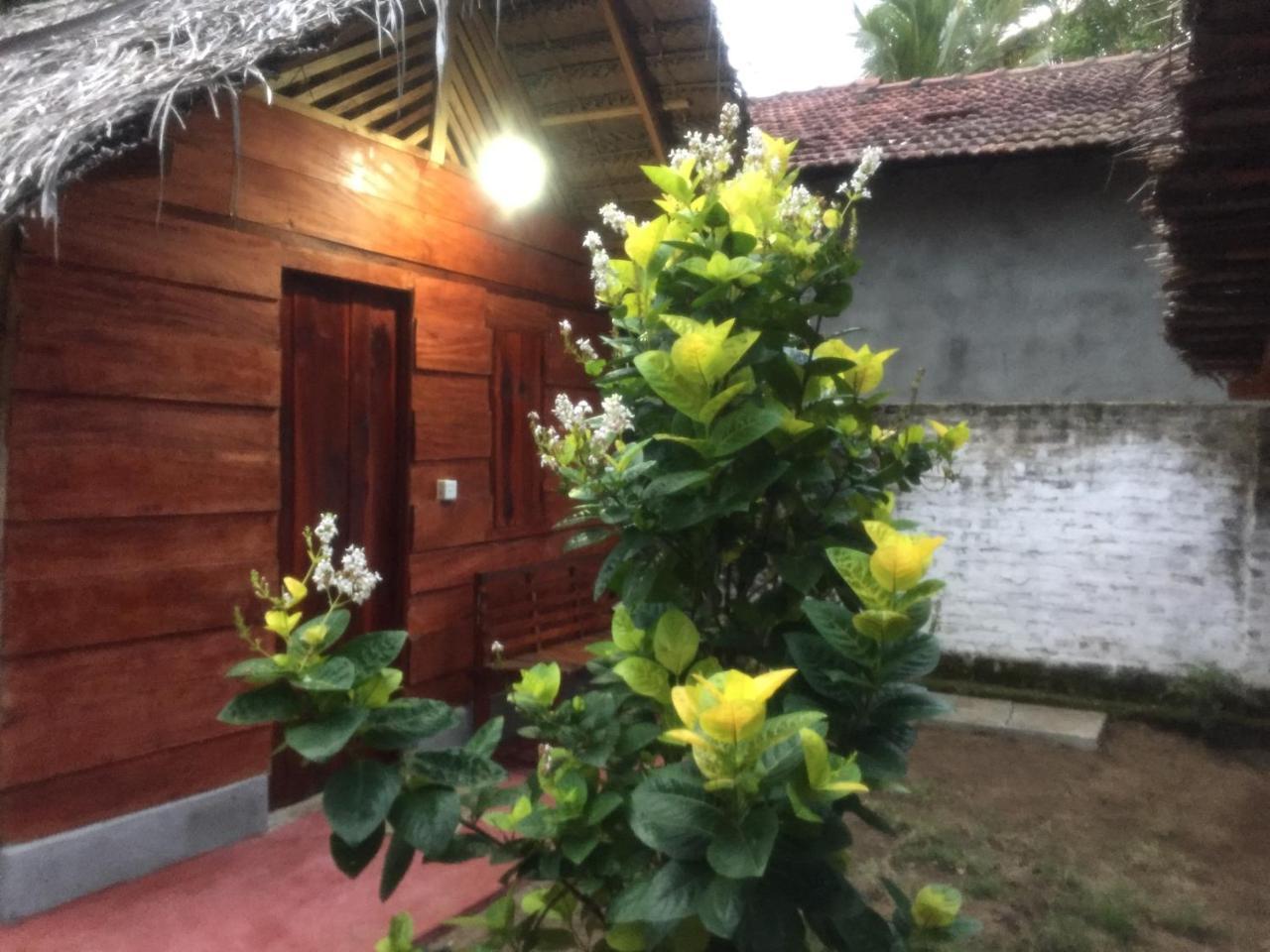 Lemon Tree Hostel Arugam Bay Exterior photo